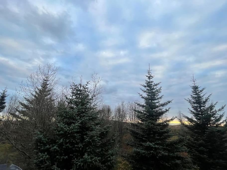 Grimsnes og GrafningshreppurGolden Circle Cozy Retreat别墅 外观 照片